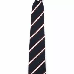 Knit Tie Stripe - Navy/Burgundy -Vendite DONNA 1676646154egaccess 6543 1